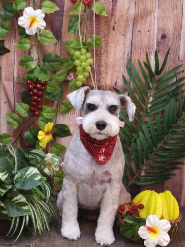 20230822むぎちゃん